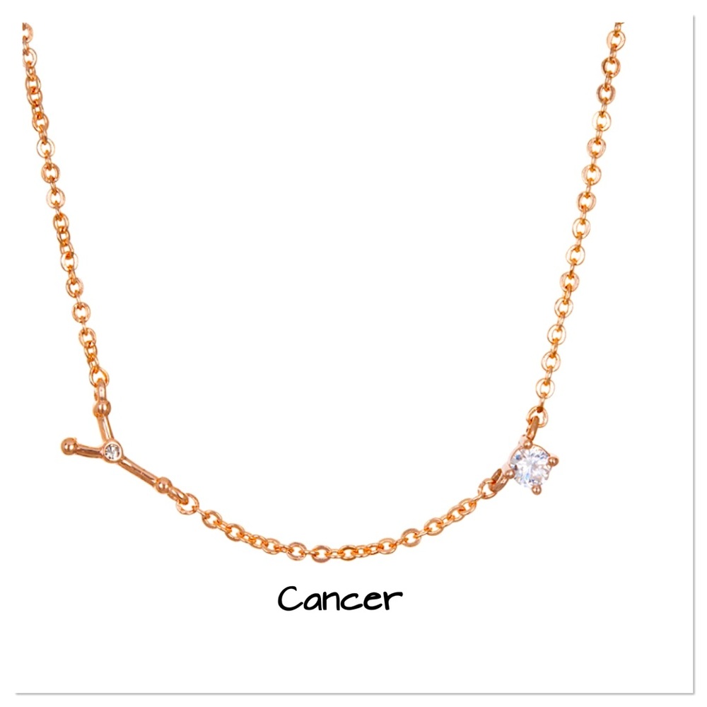 🛑 18K Rose Gold Zodiac Diamond Necklace